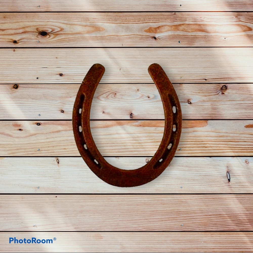 Rustic horseshoe add a bit of luck to your decor!
